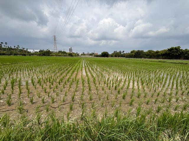 台中神岡農地-1
