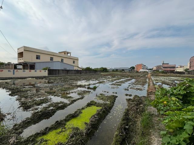 台中農地-0