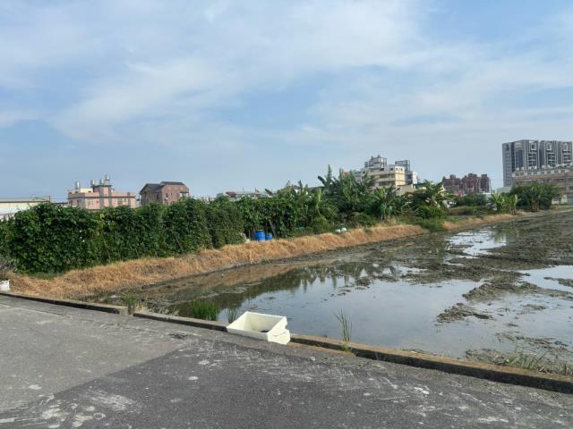 台中農地-3
