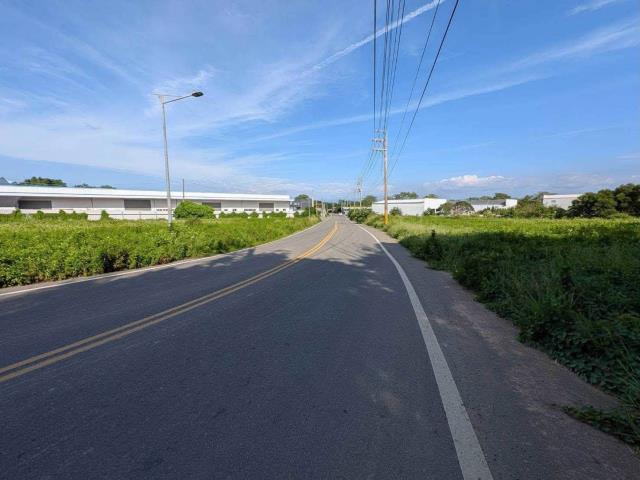 清水農地-6