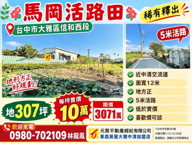 大雅農地-0